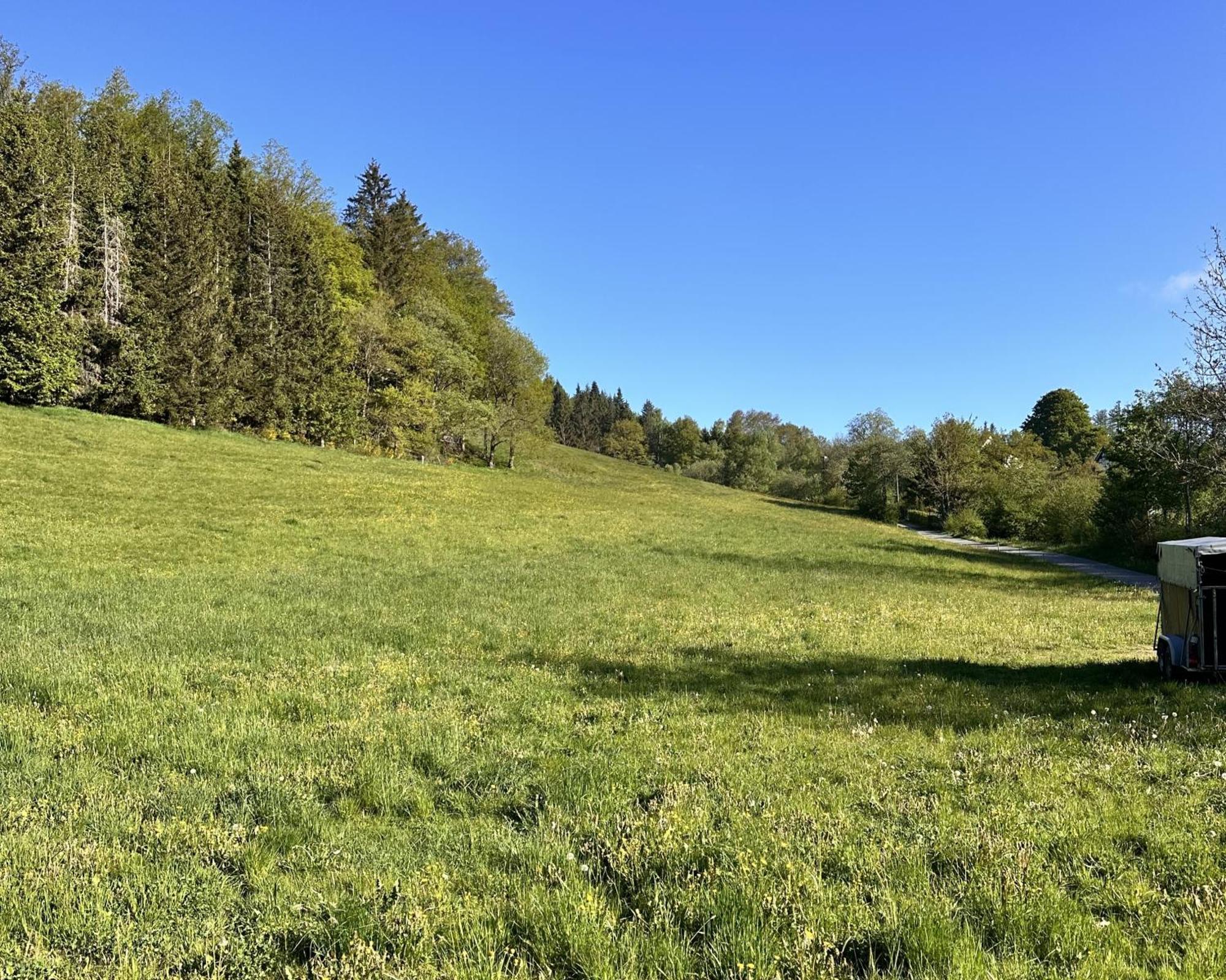 Smart 2 Bb2 322 Winterberg